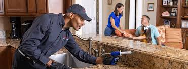 Emergency Pest Control in Interlachen, FL